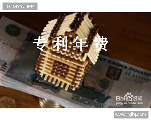 掌握游泳技巧从零开始的完整学习指南和实用步骤