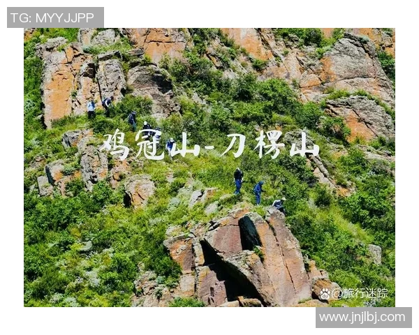 上海攀岩队心理素质研究：挑战极限与内心平衡的探索之旅