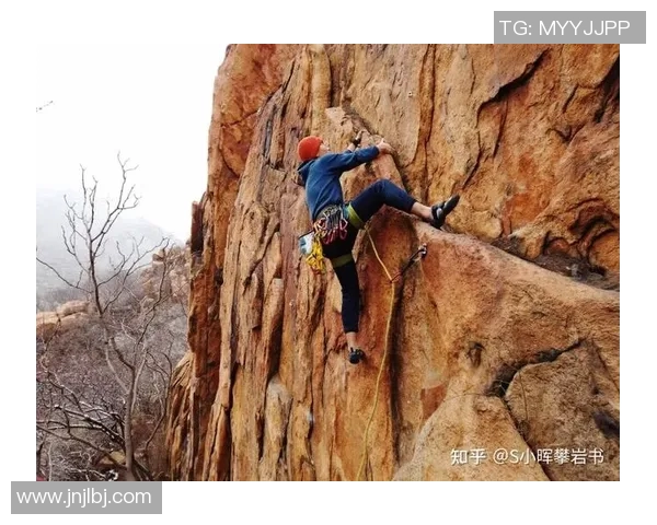 杭州攀岩队耐力表现分析及训练效果评估研究报告 杭州攀岩队耐力表现分析及训练效果评估研究报告