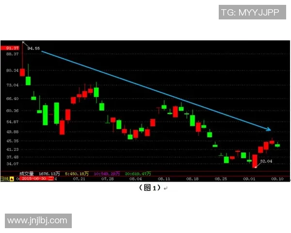 深圳飞盘队战术解析：从基础到进阶的全面剖析与实战应用