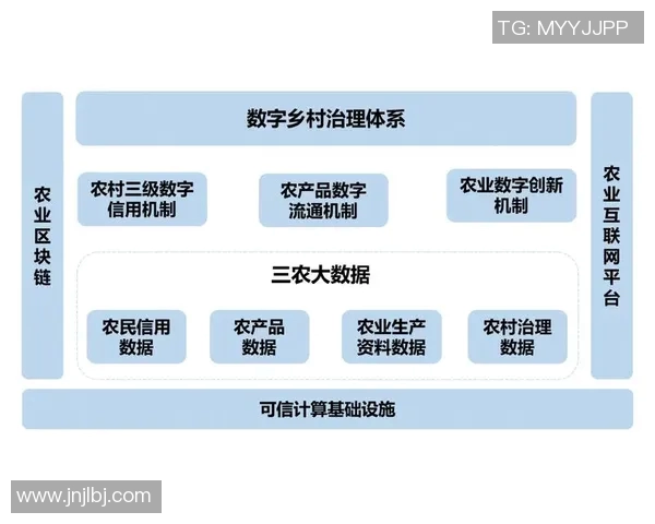 南京足球队联赛表现分析意识提升与战术执行的深度探讨 南京足球队联赛表现分析意识提升与战术执行的深度探讨